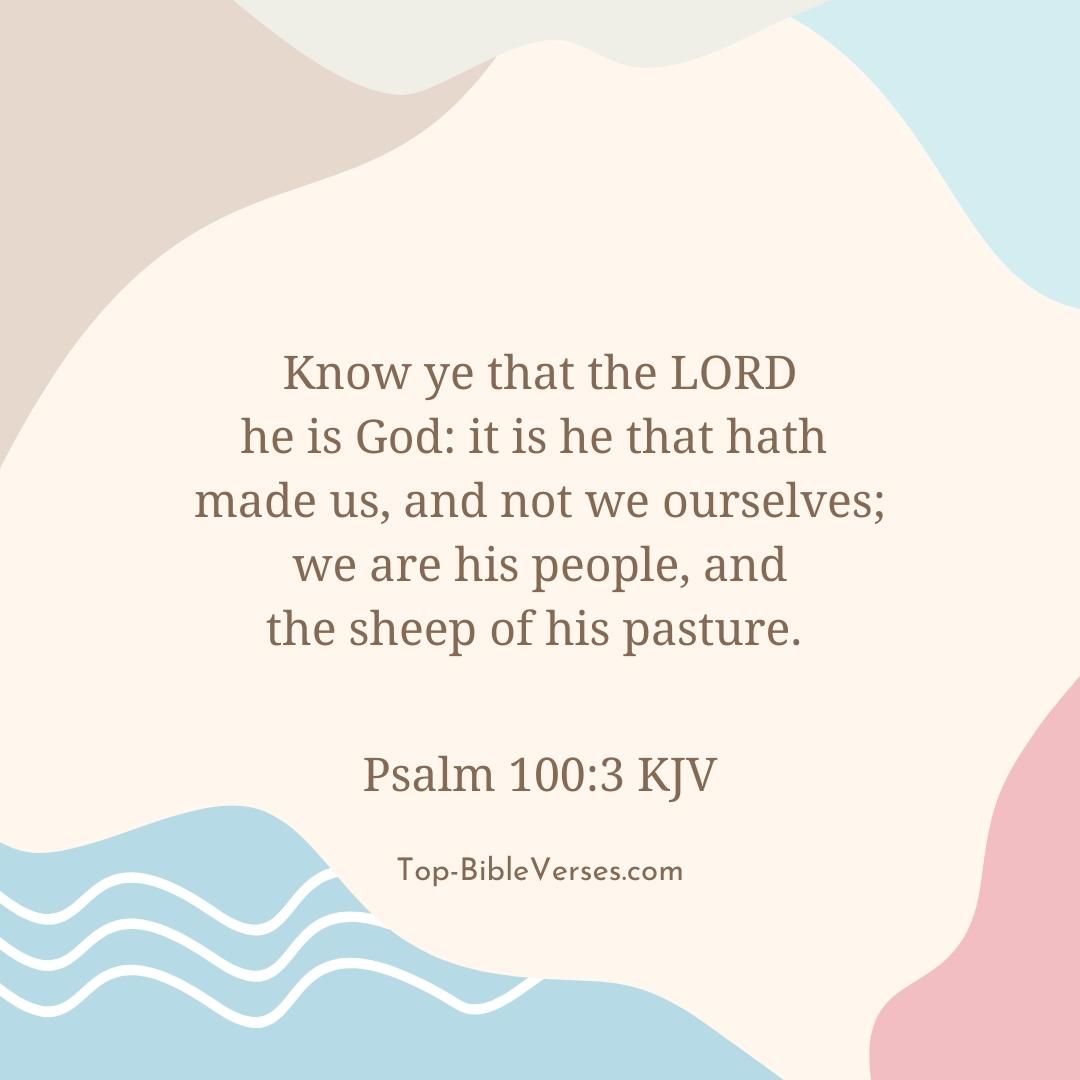 Psalm 100-3 KJV - Know ye that the LORD he is God: it is he that hath made us, and not we ourselves.