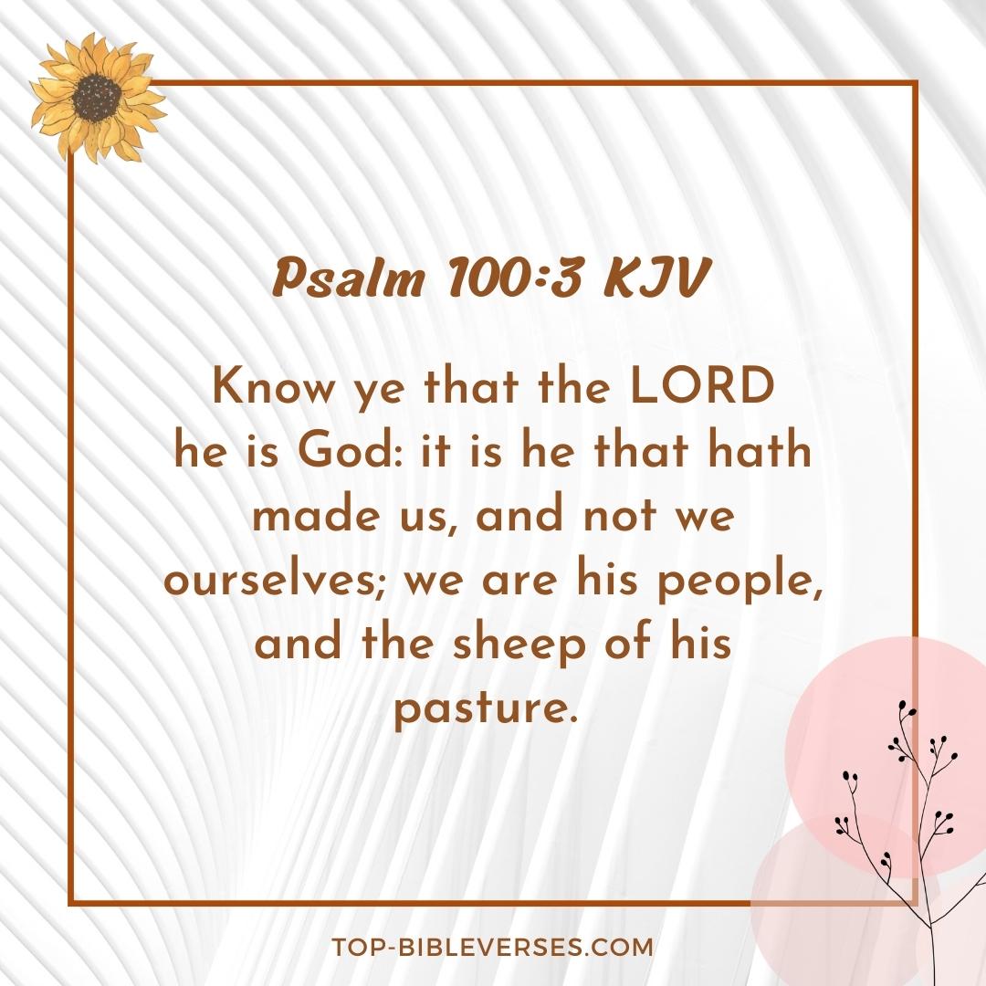 Psalm 100-3 KJV - We are his people, and the sheep of his pasture.