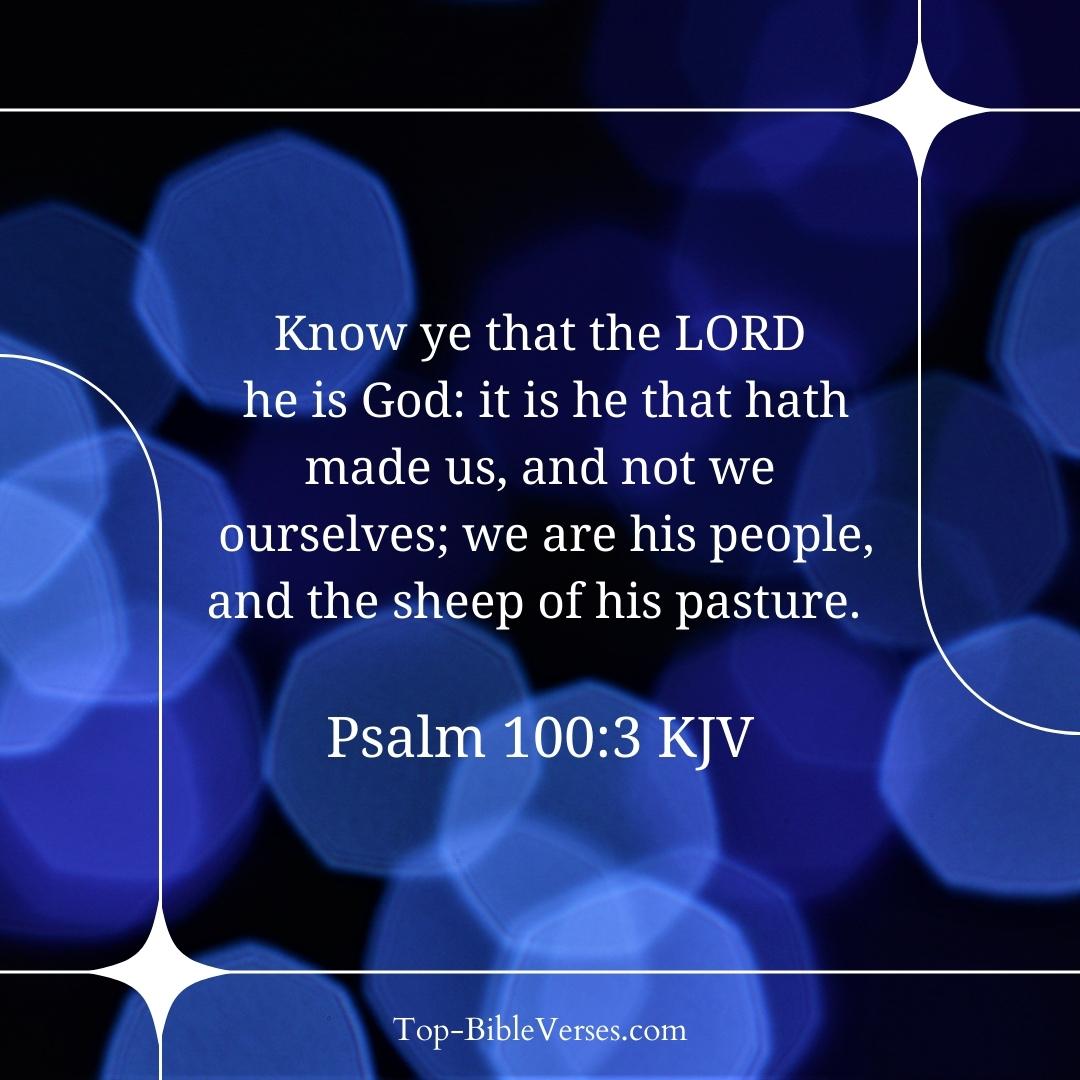 Psalm 100-3 KJV - Know ye that the LORD he is God: it is he that hath made us, and not we ourselves.