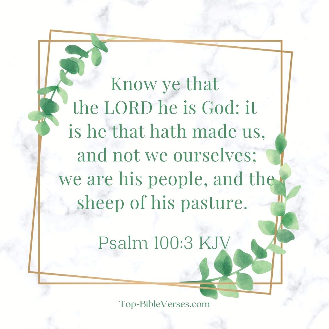 Psalm 100-3 KJV - We are his people, and the sheep of his pasture.
