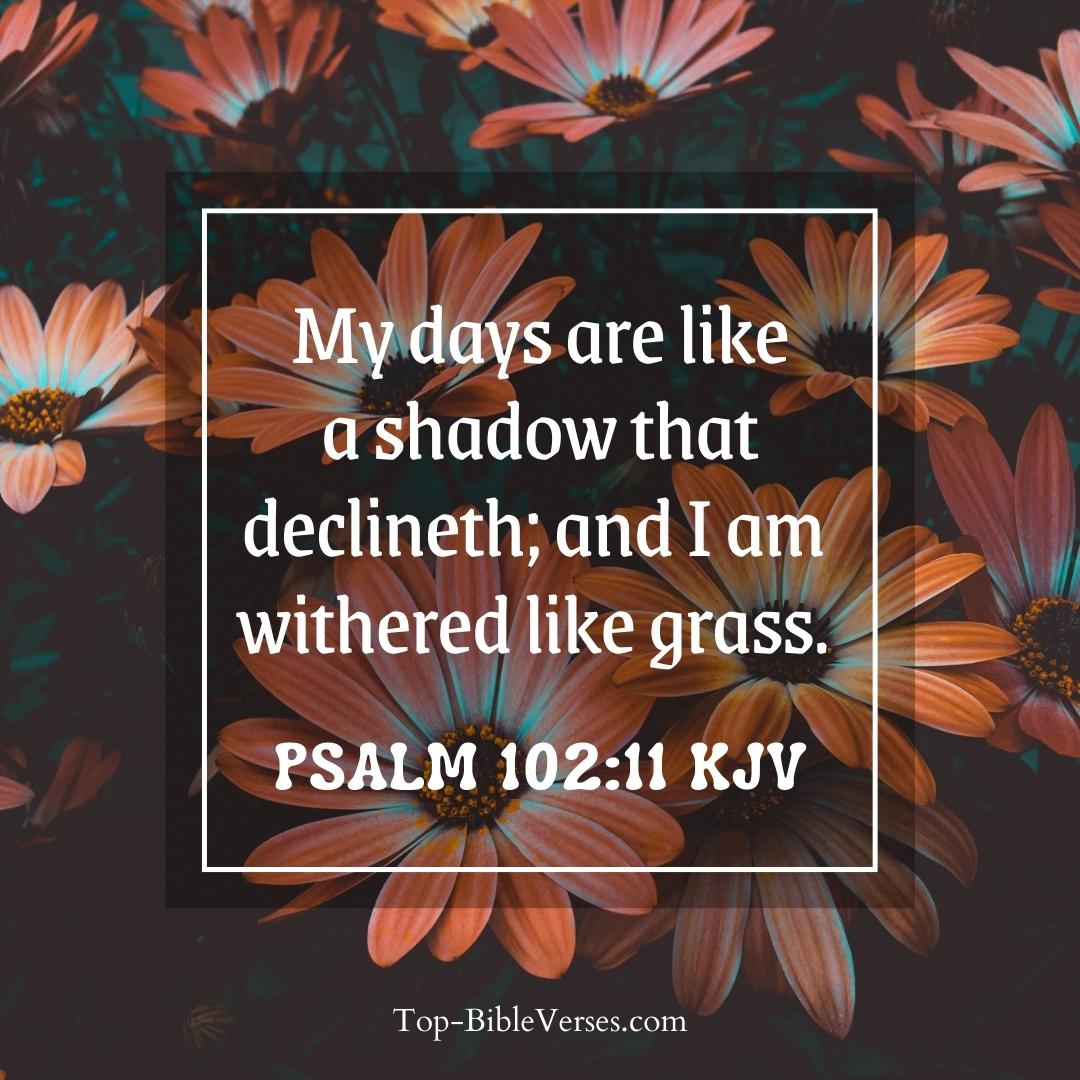 Psalm 102-11 KJV - My days are like a shadow that declineth.