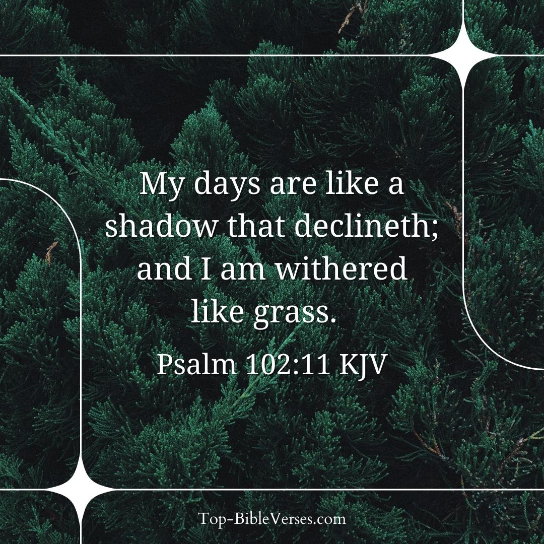 Psalm 102-11 KJV - My days are like a shadow that declineth.