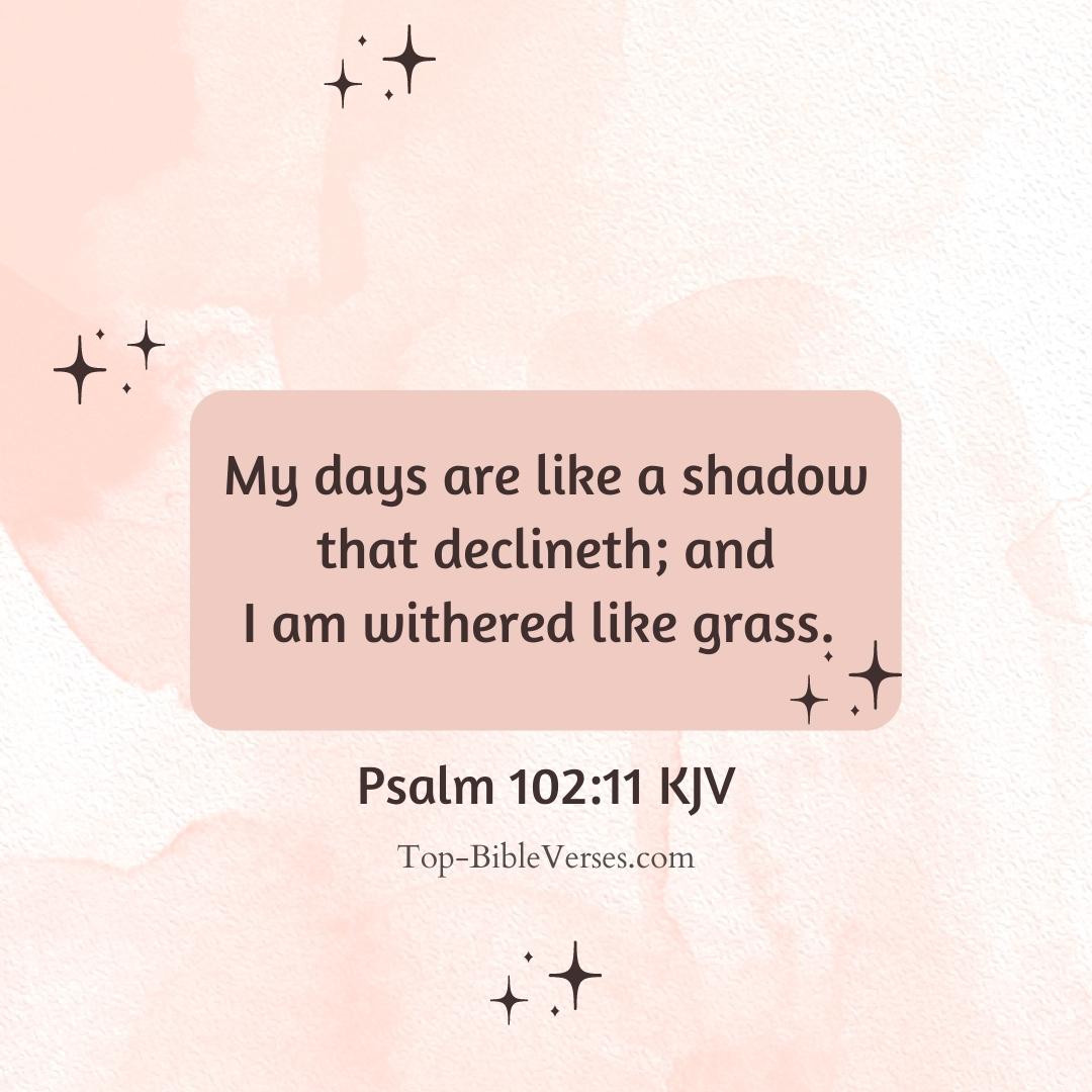 Psalm 102-11 DP Images