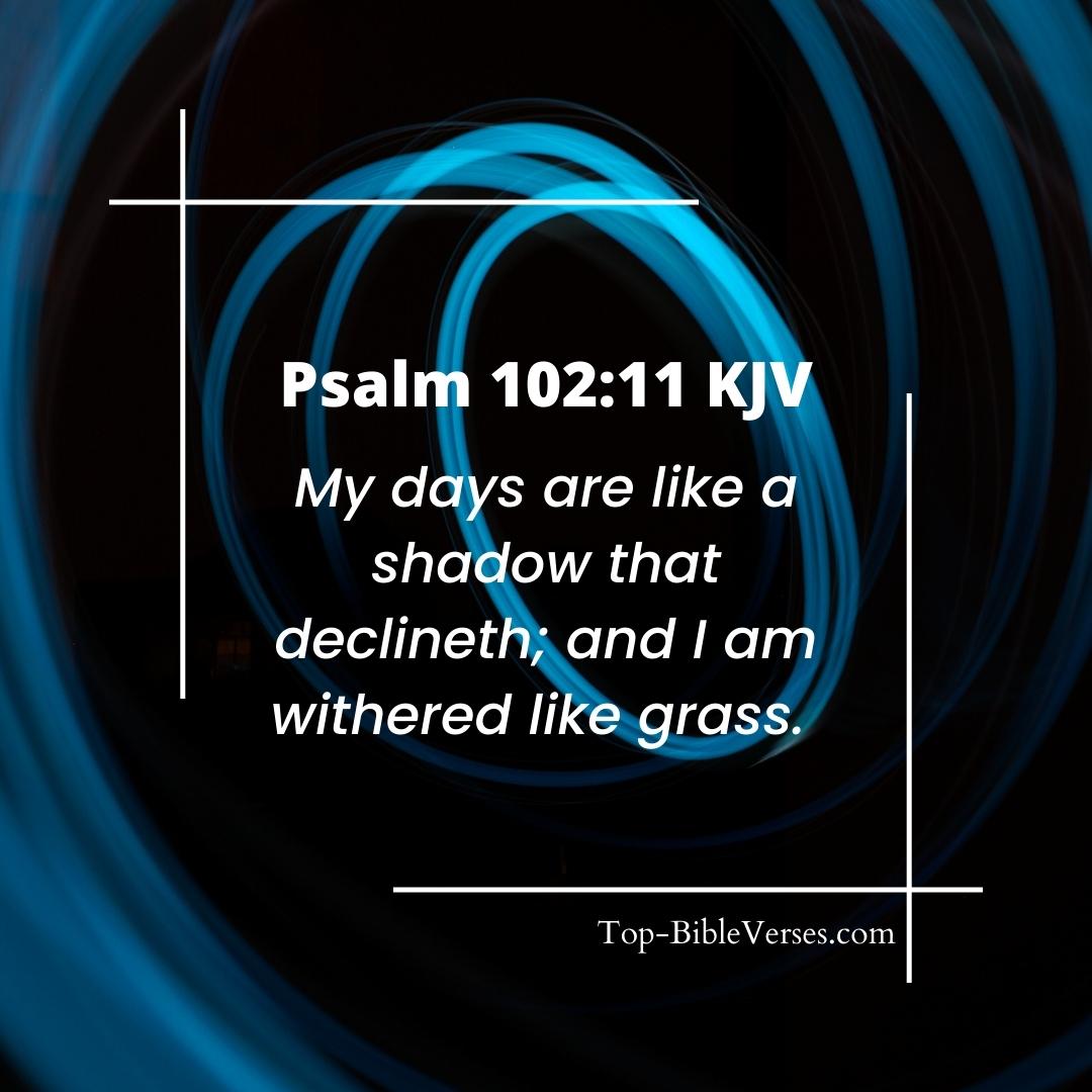 Psalm 102-11 Bible verse Images