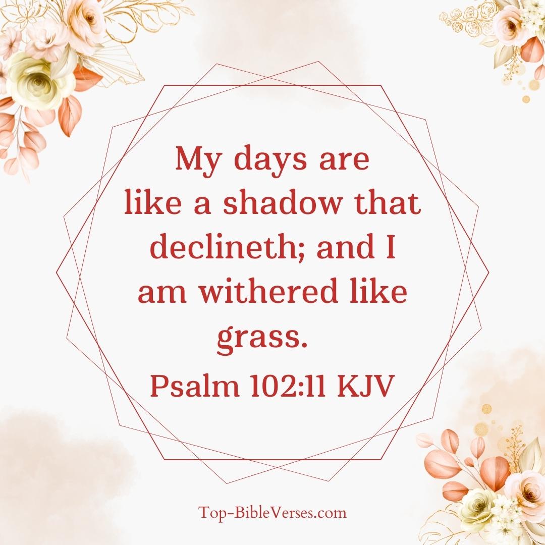 Psalm 102-11 KJV DP Images