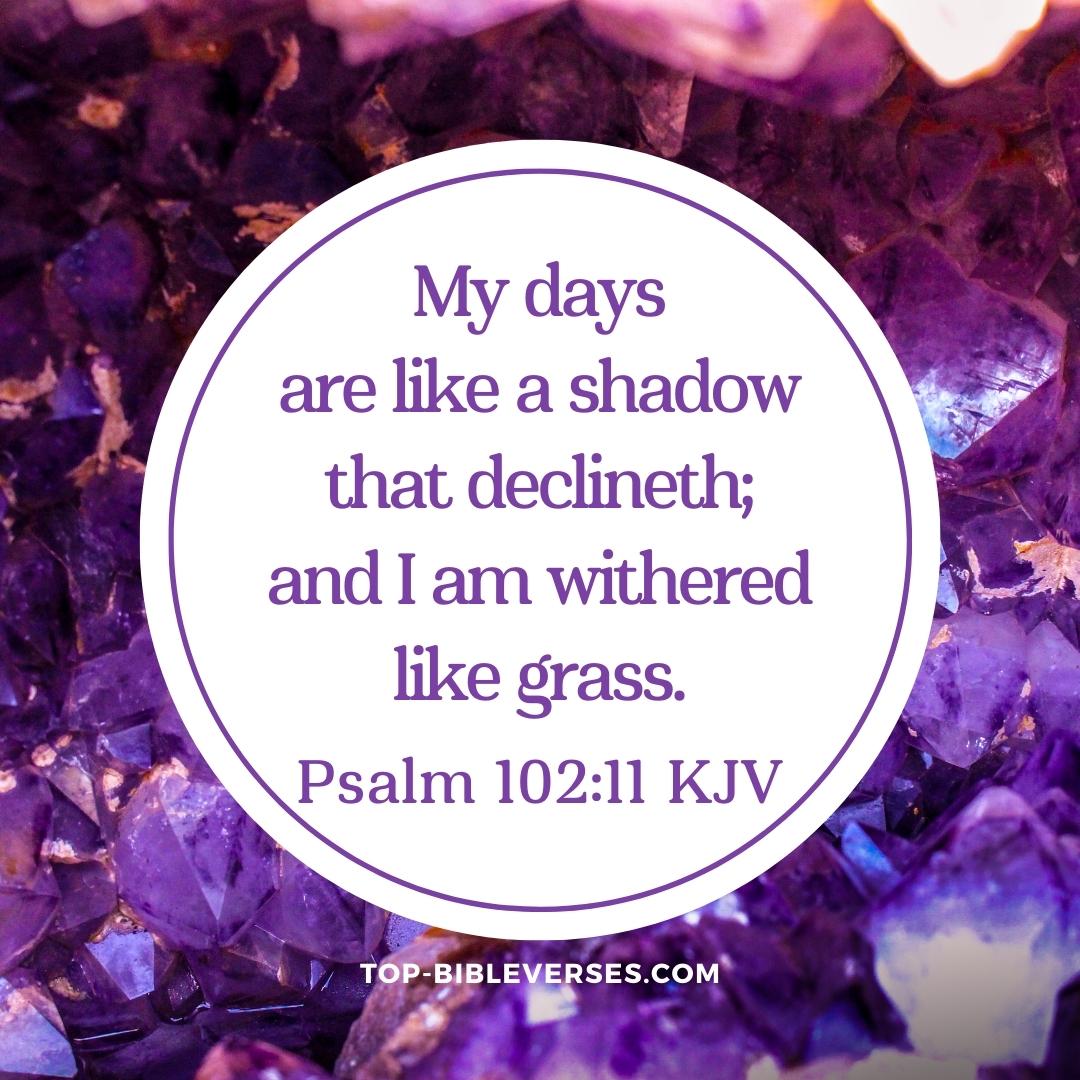 Psalm 102-11 DP Images