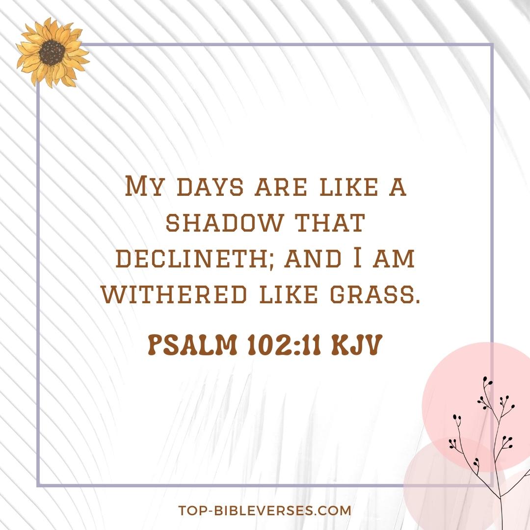 Psalm 102-11 Bible verse Images