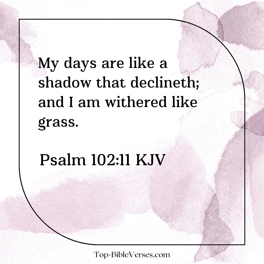 Psalm 102-11 Bible verse Images