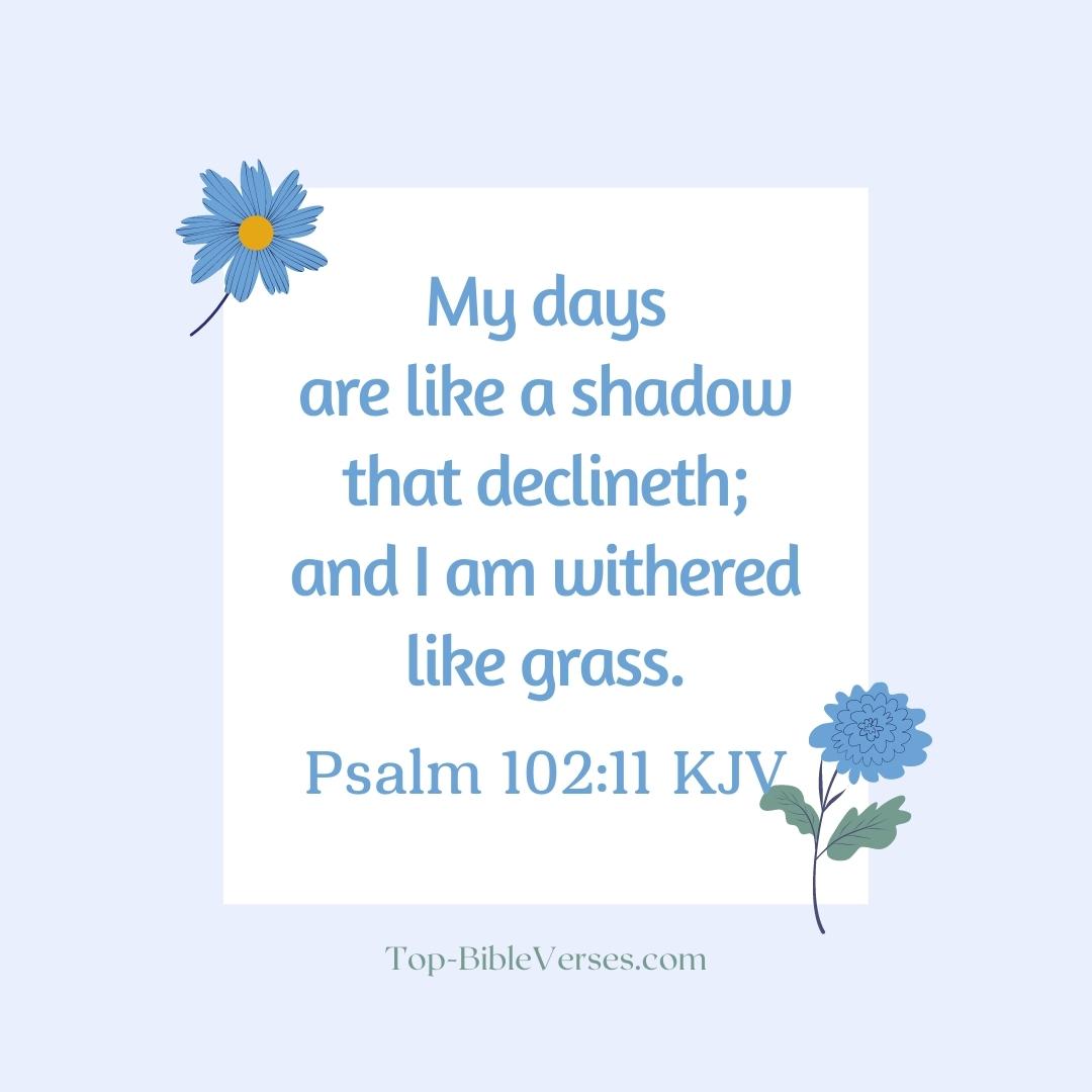Psalm 102-11 KJV - My days are like a shadow that declineth.