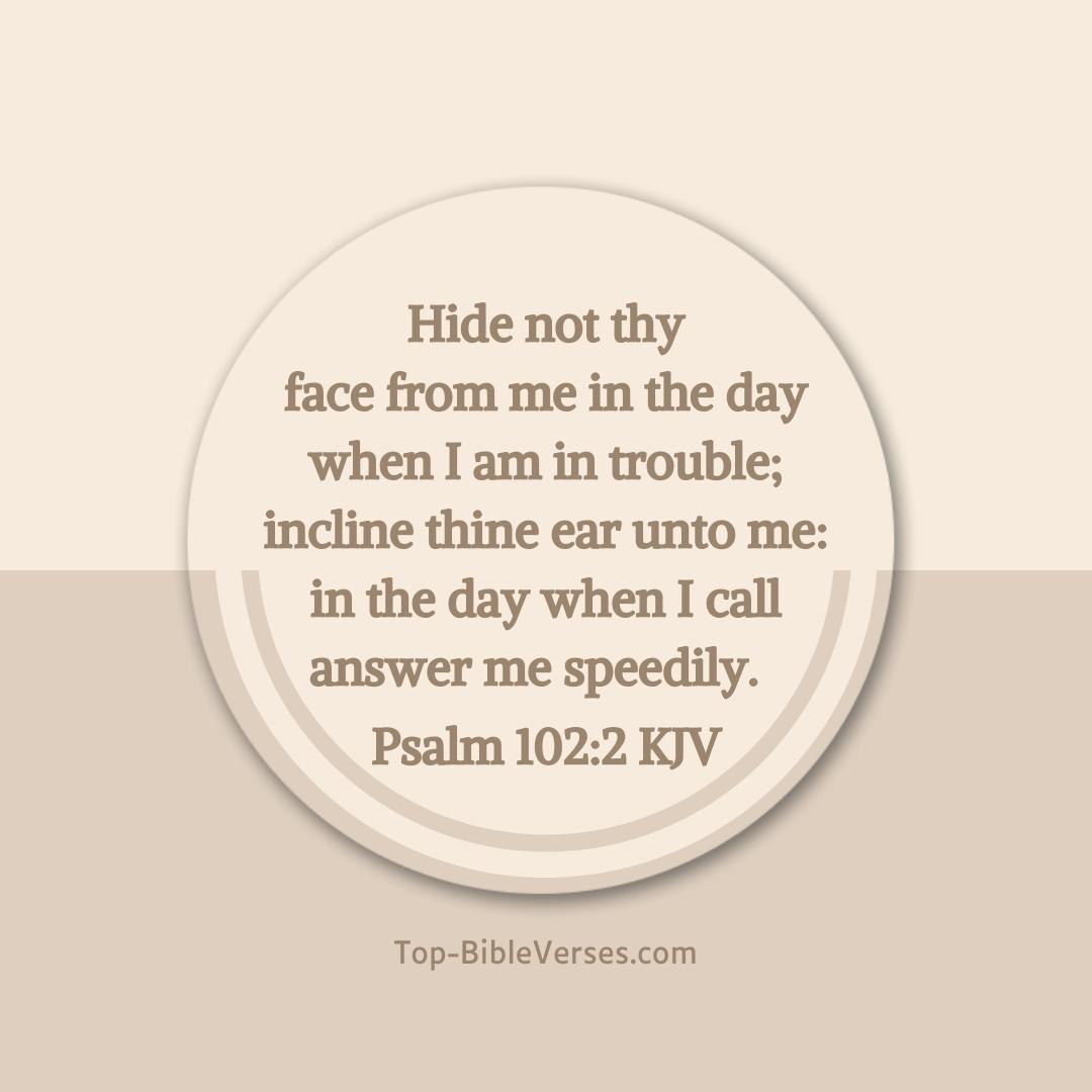 Psalm 102-2 KJV - Hide not thy face from me in the day when I am in trouble.
