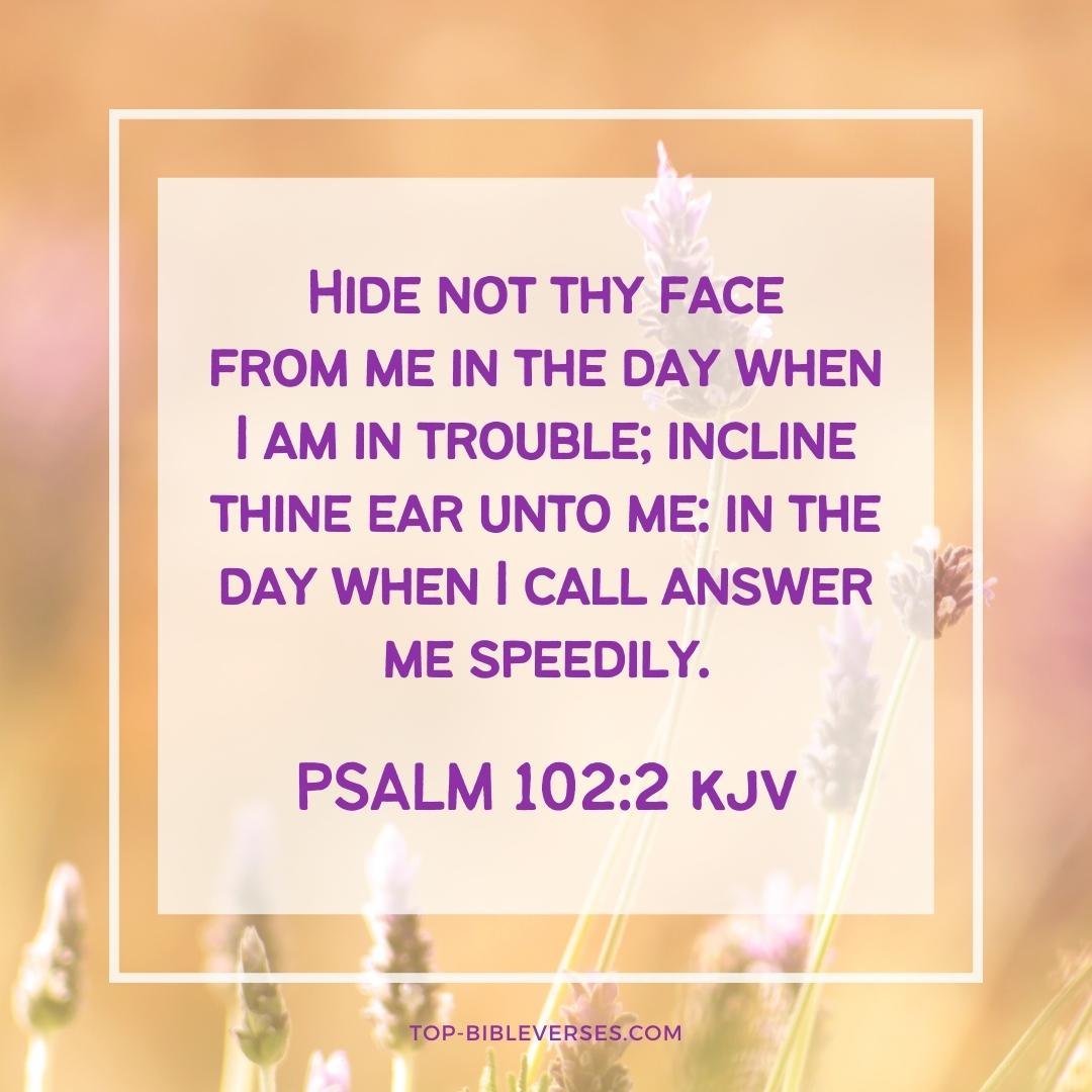 Psalm 102-2 DP Images