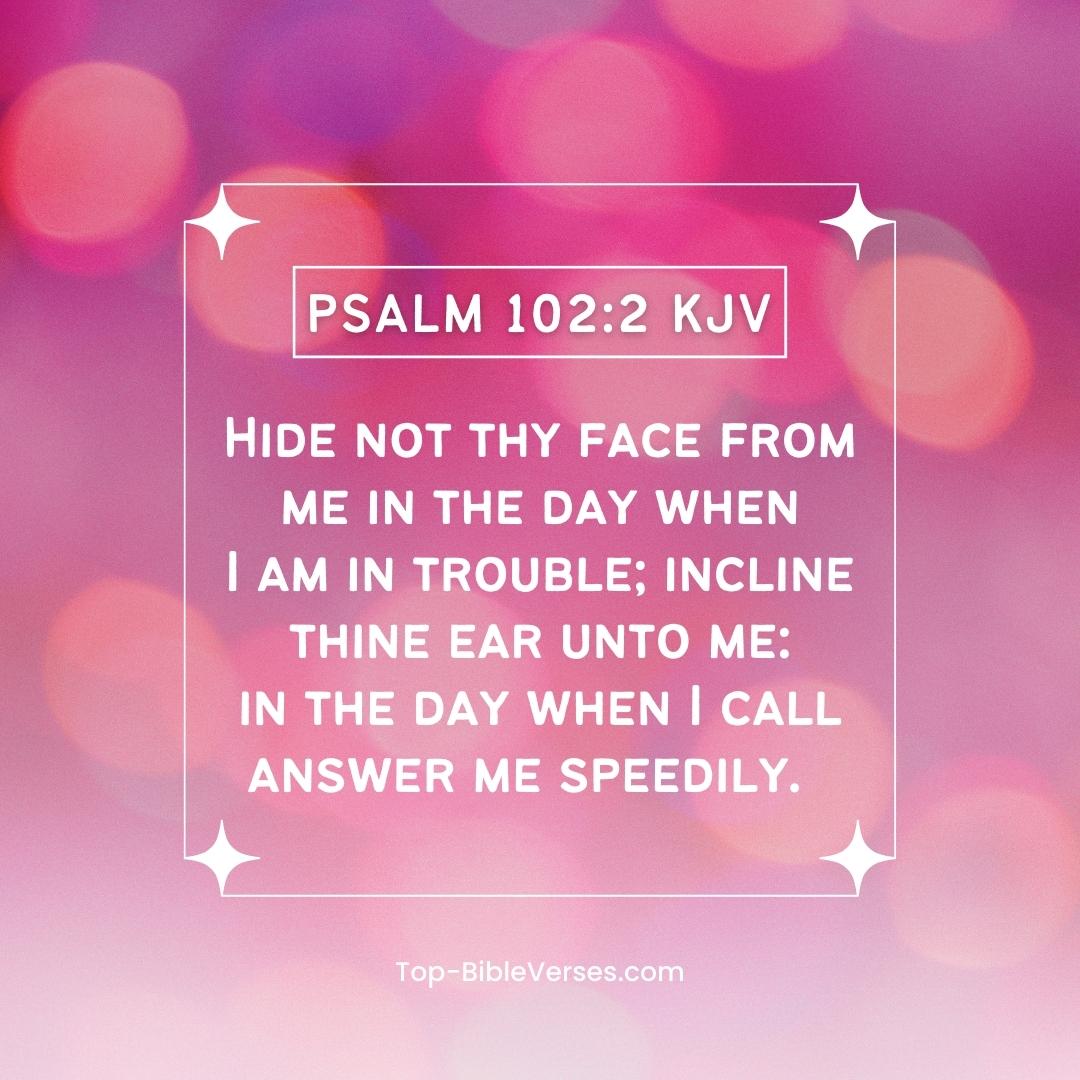 Psalm 102-2 KJV - Hide not thy face from me in the day when I am in trouble.