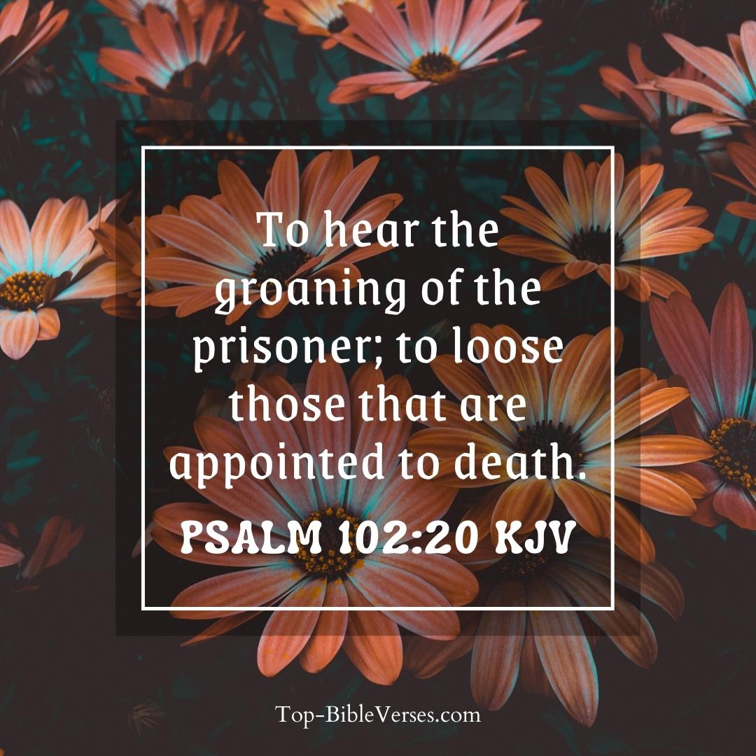 Psalm 102-20 KJV - To hear the groaning of the prisoner