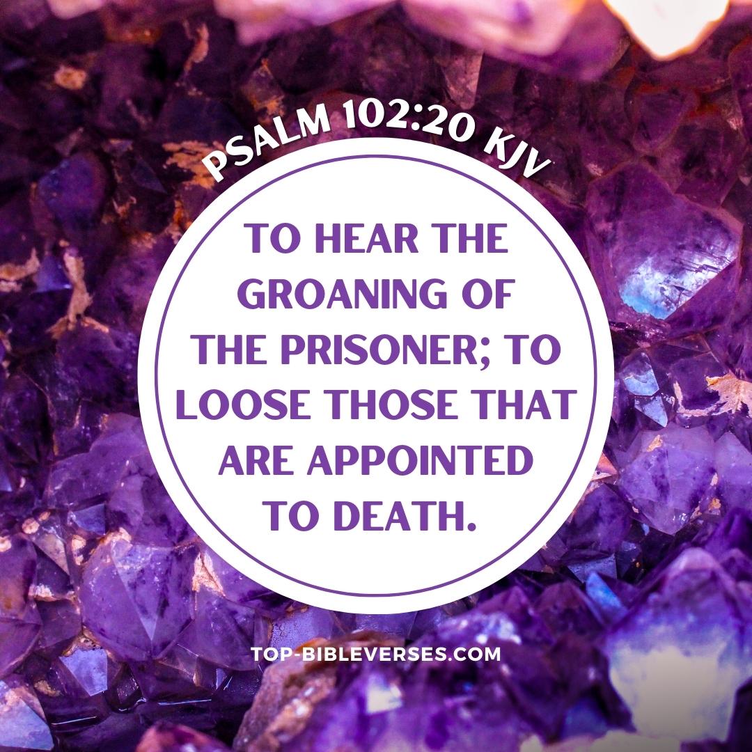 Psalm 102-20 DP Images