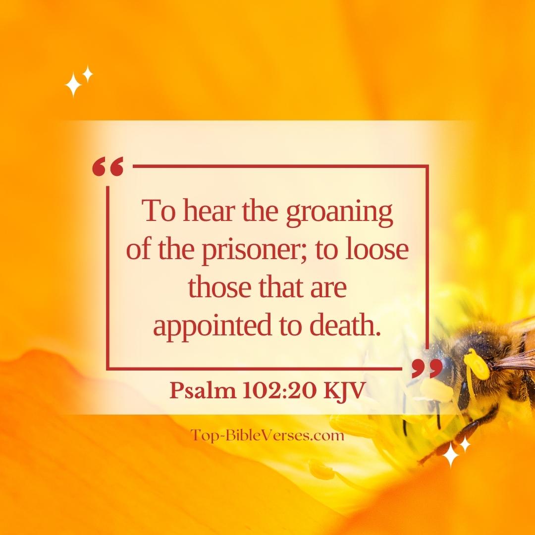 Psalm 102-20 DP Images