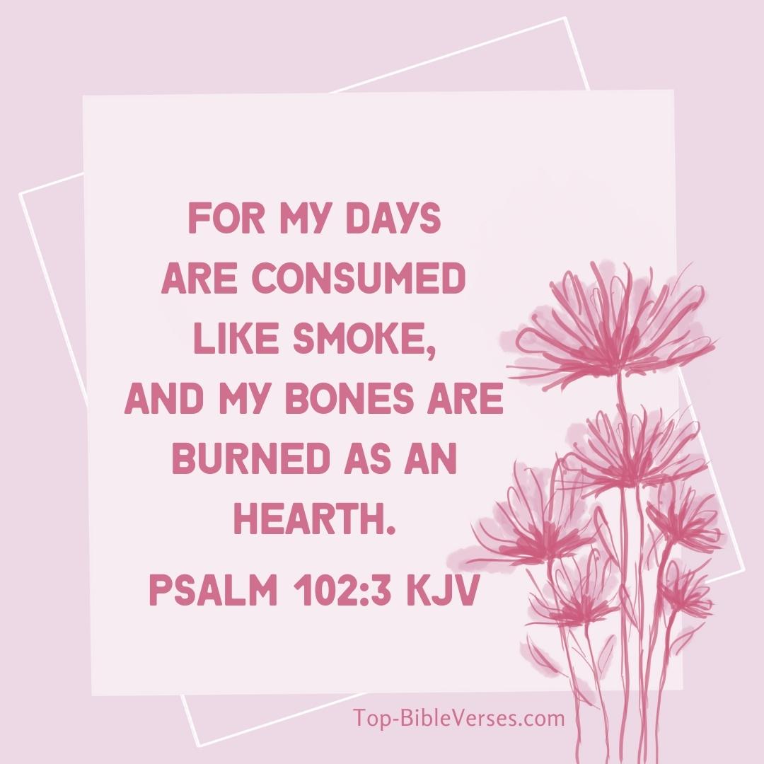Psalm 102-3 KJV DP Images