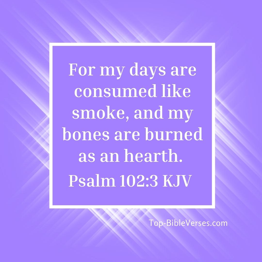 Psalm 102-3 DP Images