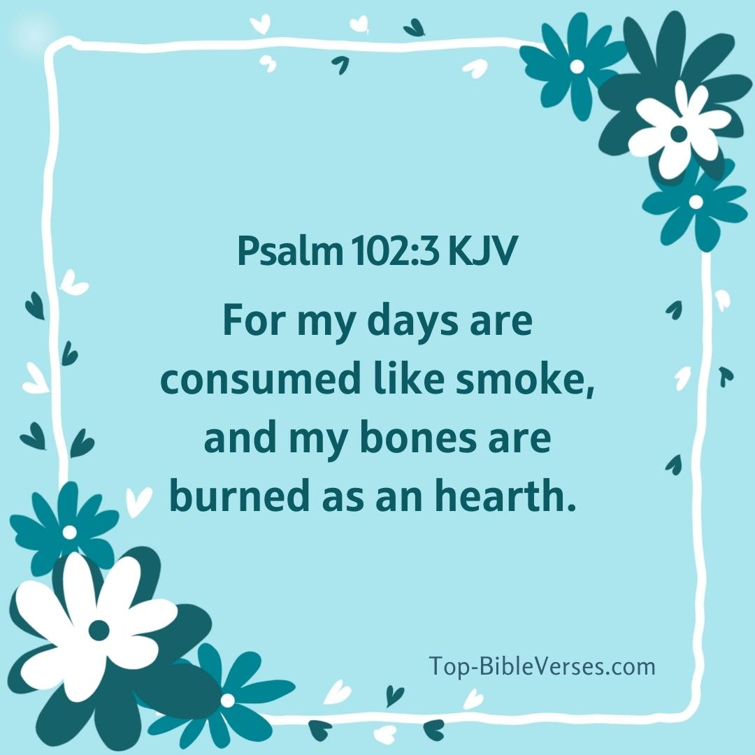 Psalm 102-3 DP Images