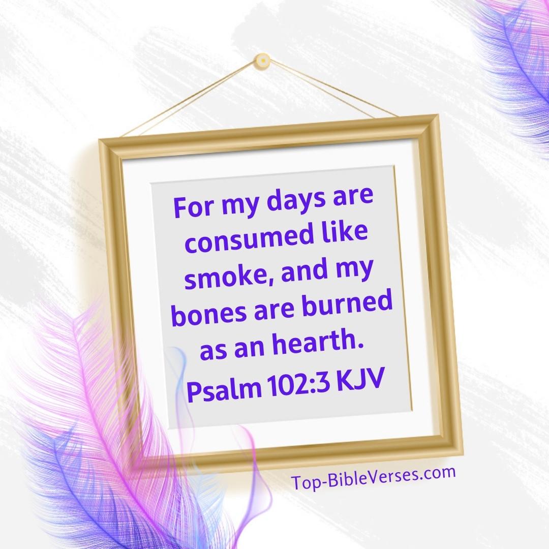 Psalm 102-3 Bible verse Images
