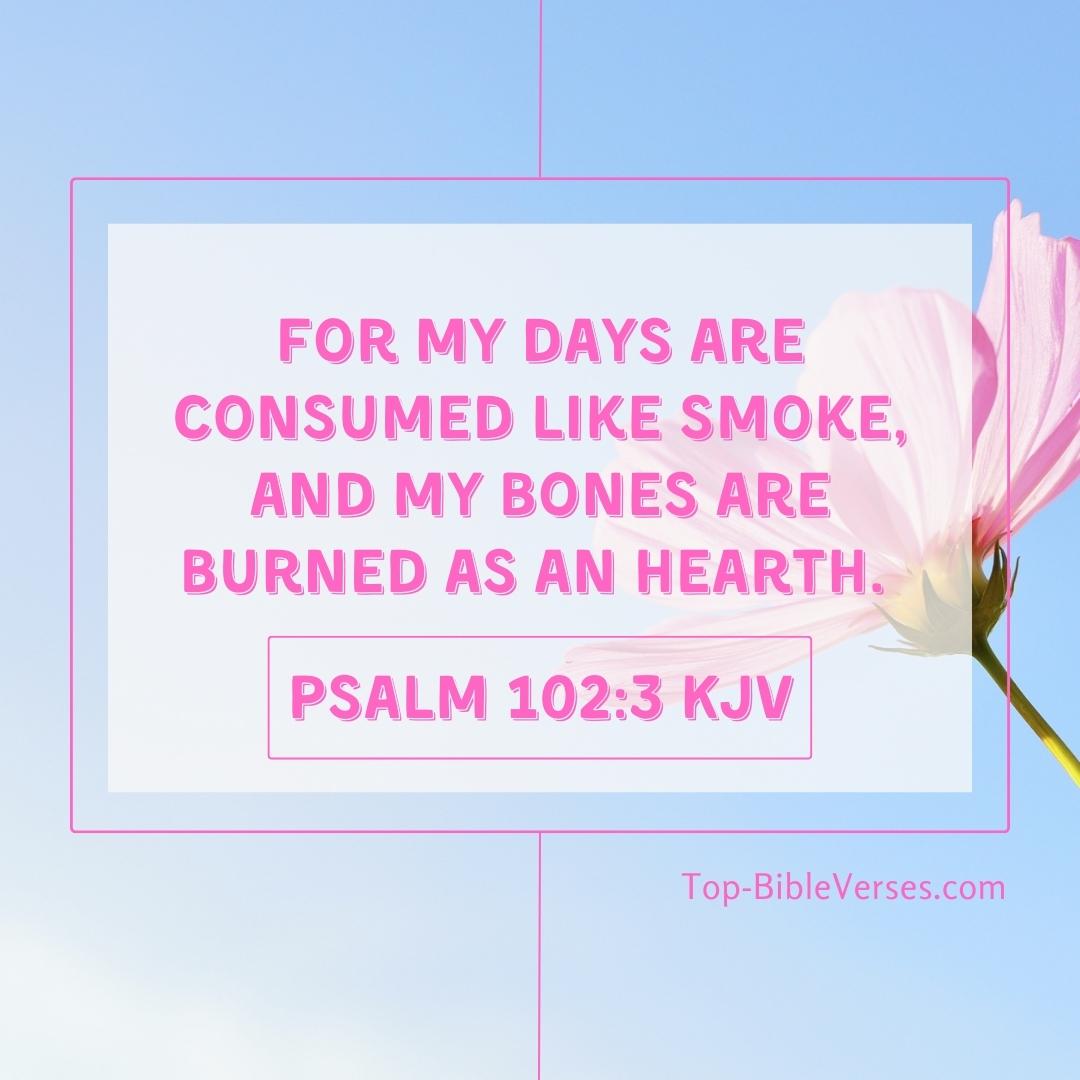 Psalm 102-3 KJV - For my days are consumed like smoke, and my bones are burned as an hearth.