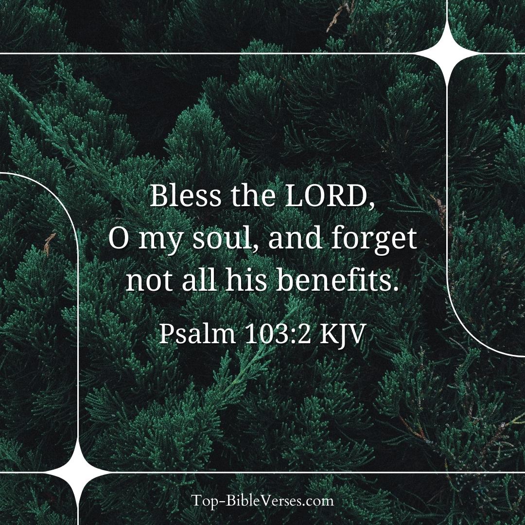 Psalm 103-2 KJV DP Images