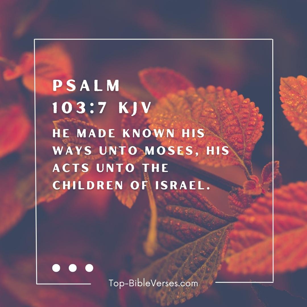 Psalm 103-7 KJV DP Images